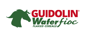 villafranca_fiocchi_loghi_partner_3_guidolin